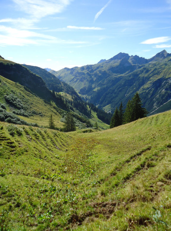 Ausblick-Alpen